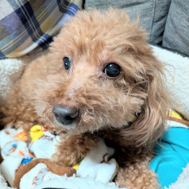 E1a5b9d2 0949 456e a568 e2024add7413 1767689644239