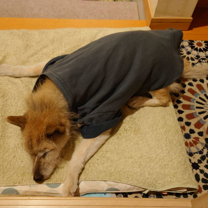 E1a5c81b 87b6 4eea 9352 aa6d24d8f770 1643718753831