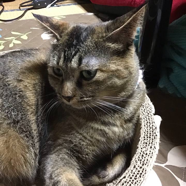 E1a5cd51 1082 4ad3 867f c854e4c0b663 1696509228842