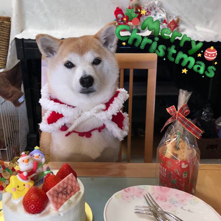 E1a601c4 65ba 496e abb5 95e616bab9b1 1703403851257