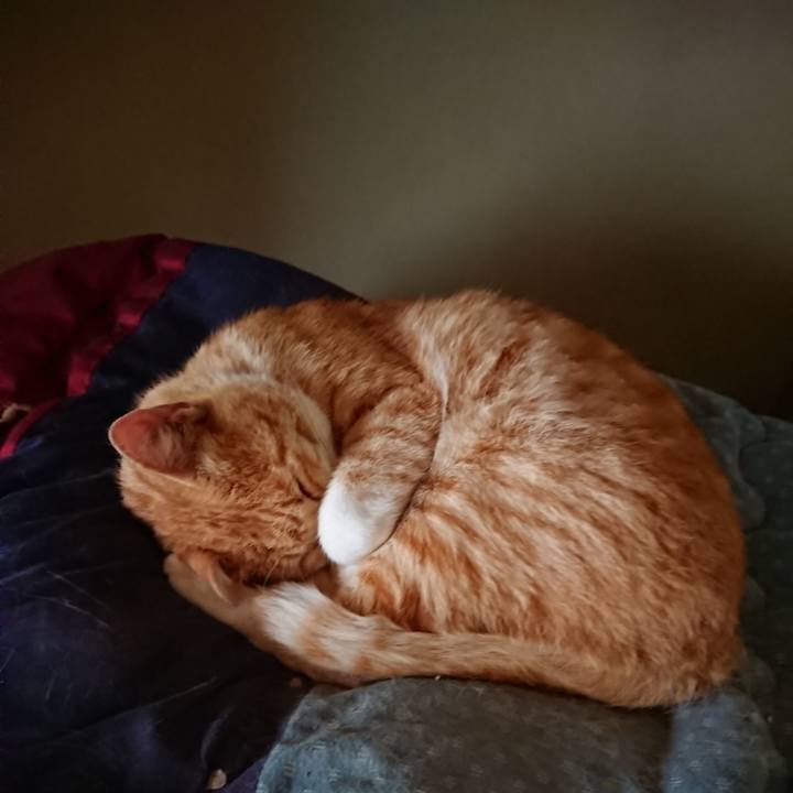 E1a61258 149e 410f a078 3fdd0a127f01 1590529481008