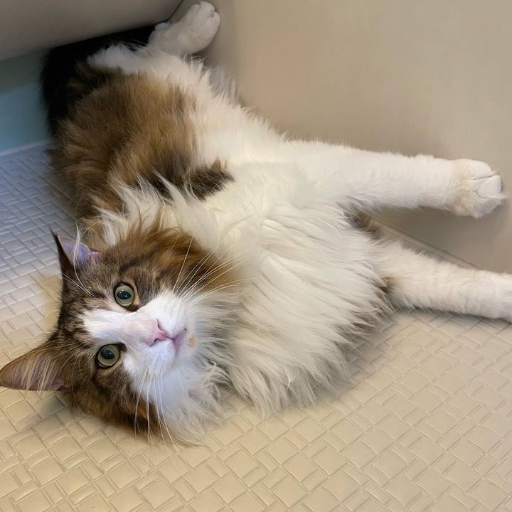 E1a63467 9fcb 46f2 91aa 1b2e5440f9d7 1669754524158