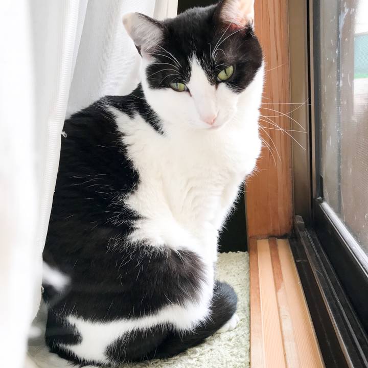 E1a63ed7 e7ff 4532 bb7f 85774c18efe9 1524353484868