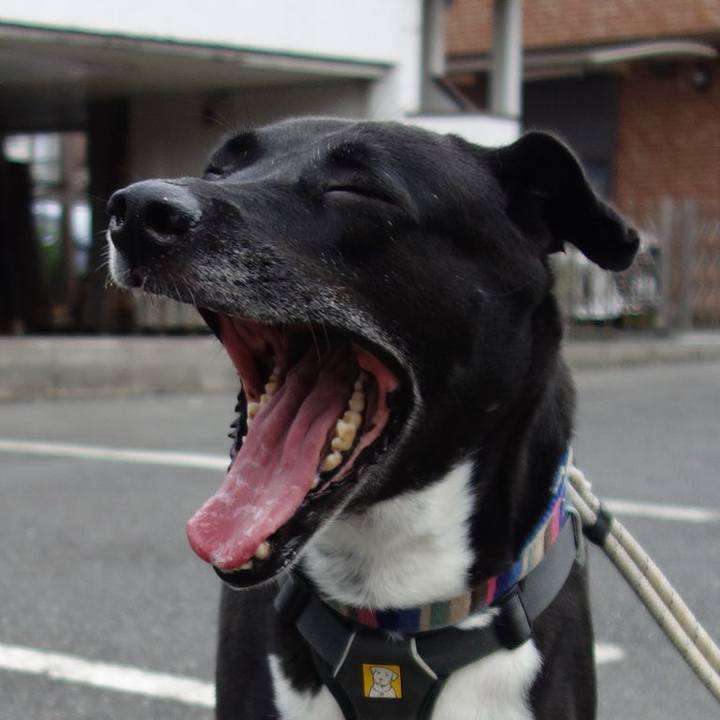 E1a66058 9f4f 43dd a60b 6e32dd2a57ec 1657150110972