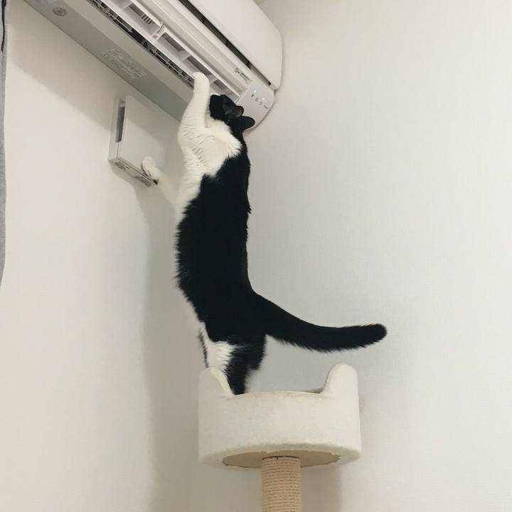 E1a681f9 18da 430f 80d5 56c788c39a3f 1525775746127