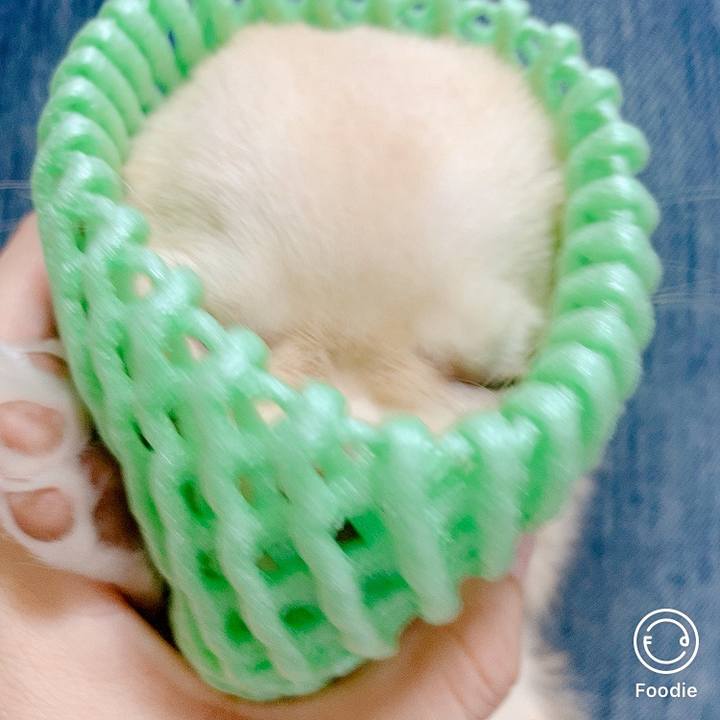 E1a69ad0 67f8 4493 a9f7 e08dc611be61 1601600218246