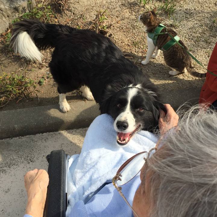 E1a6ae07 731b 4dde beda abd4fb494817 1520836494518