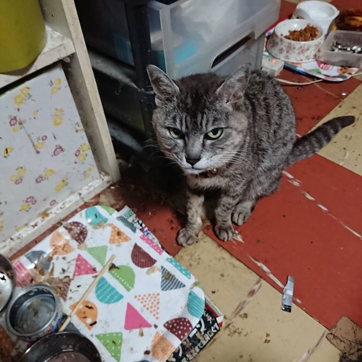 E1a6be64 26a0 4bac 8f0c 846aa9635d7d 1592166086150