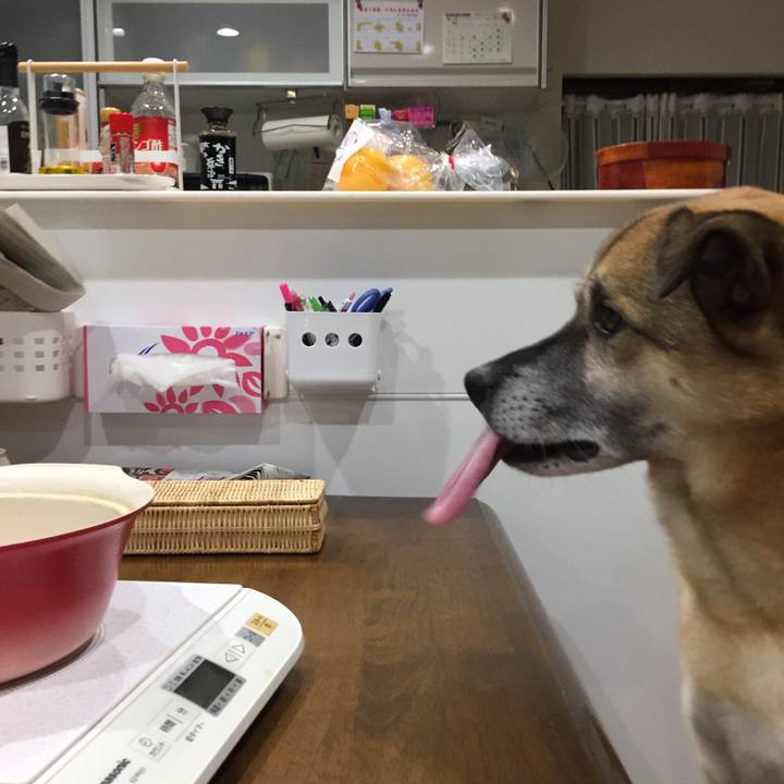 E1a6d0e2 4936 4f77 a59c 572740c99205 1518169874093