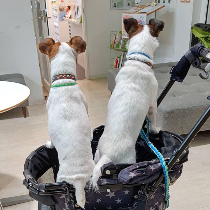 E1a6db41 33e4 4af0 bbf4 aabfd322cbcc 1632542930380