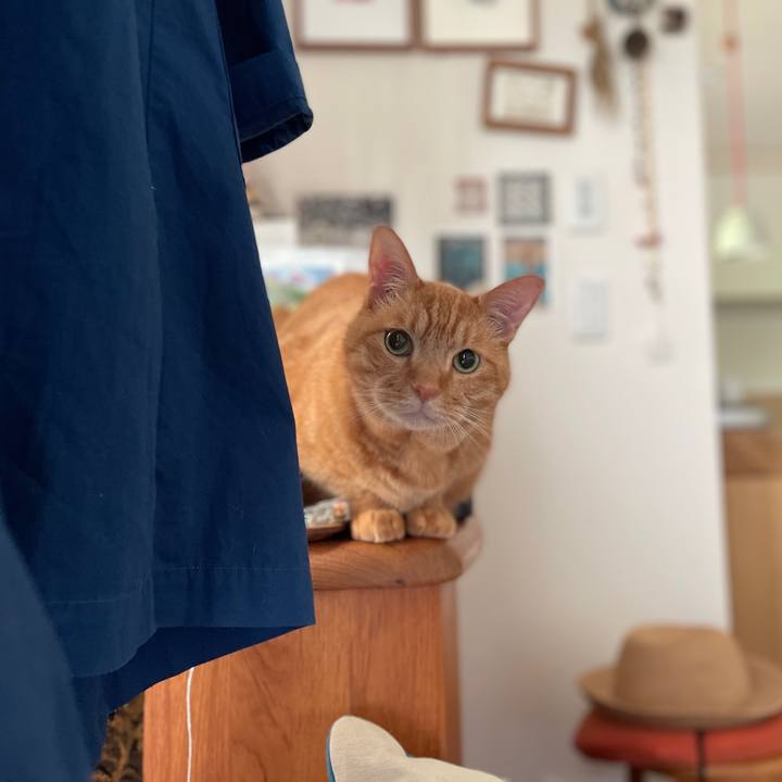 E1a7300c 1fa9 442a b548 96d28f03b346 1748990988768