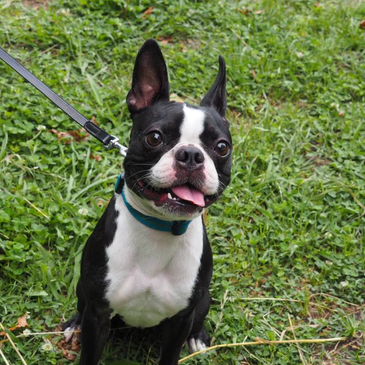 E1a77213 b1c8 439e b1ca c9cb0e2ac610 1560168676346