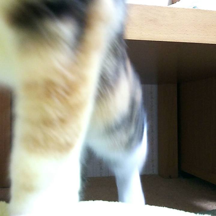 E1a79e61 b331 4d0e 8b43 1f6eda1589a9 1507977760959