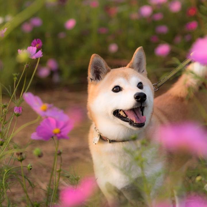 E1a7b9f0 ea7b 4f7b be65 f924d65c2df9 1539778491774