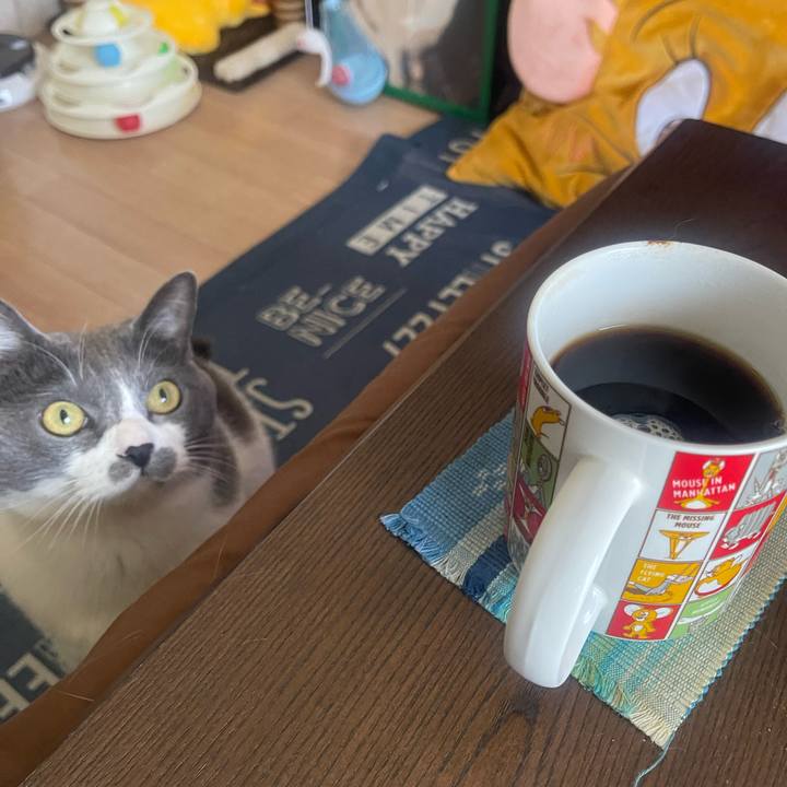 E1a846e5 594a 4c83 b798 f9bf3356c4a1 1741500654498