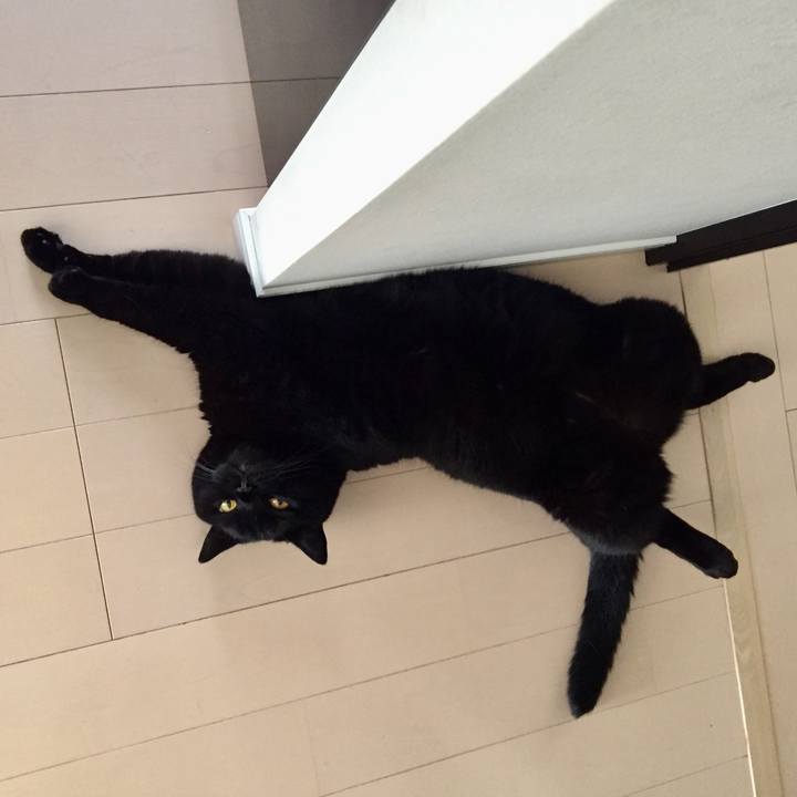 E1a8727f e976 40d9 8c11 0630bf5eb4ba 1566440000906