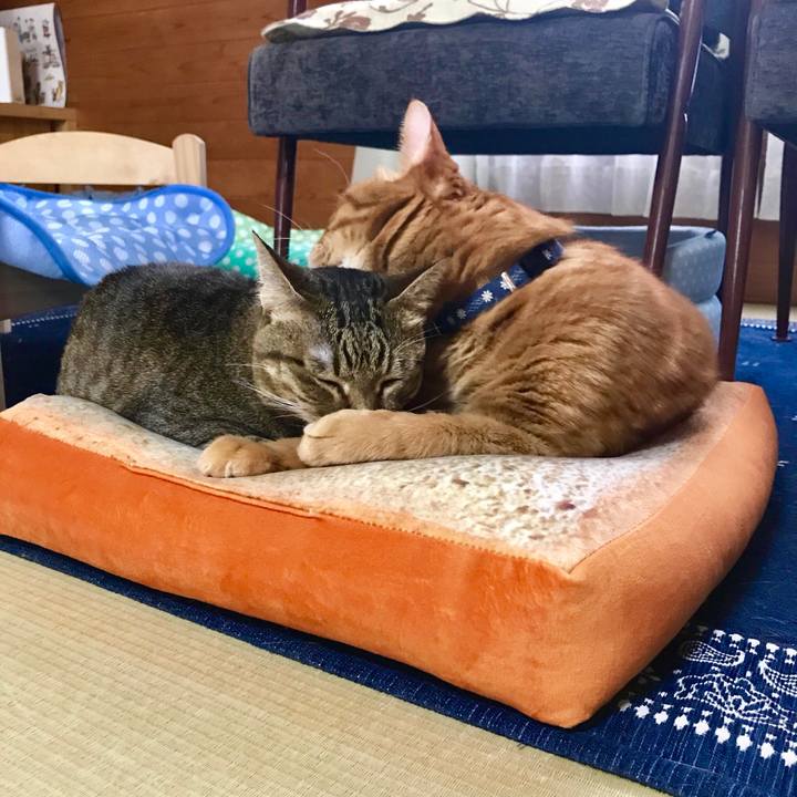 E1a88c6f ef77 45e5 bd7e 620daef37ca8 1527135197159