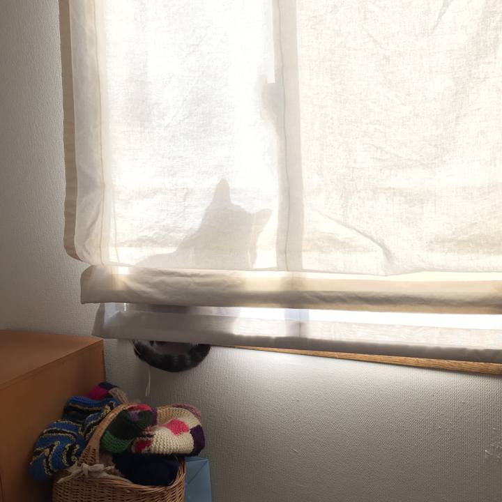 E1a8af51 cbe9 436b 8188 238a81e38a93 1513392295362