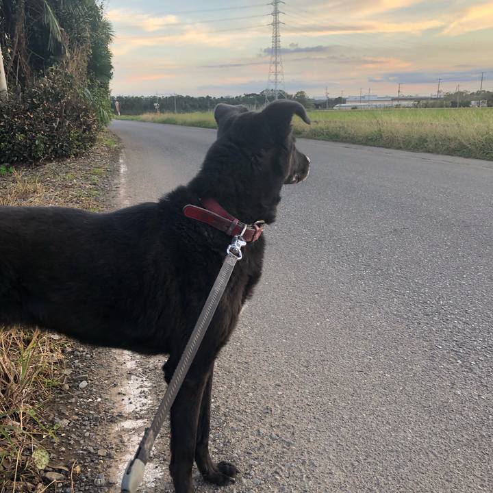 E1a8d238 1be9 4c7c a692 dab72c825352 1571816896007