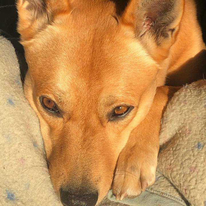 E1a8e7be 42b1 4cfc 8423 7e2c744355ef 1577837165866