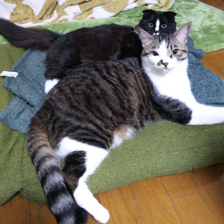 E1a8f89a 4ebf 4fd3 8896 3ad09565a2f0 1647902769994