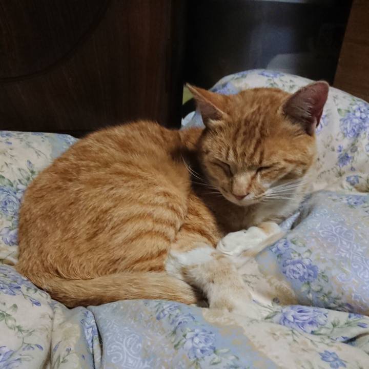 E1a8fd13 6a52 47e8 9922 e594e62c505c 1590148489234