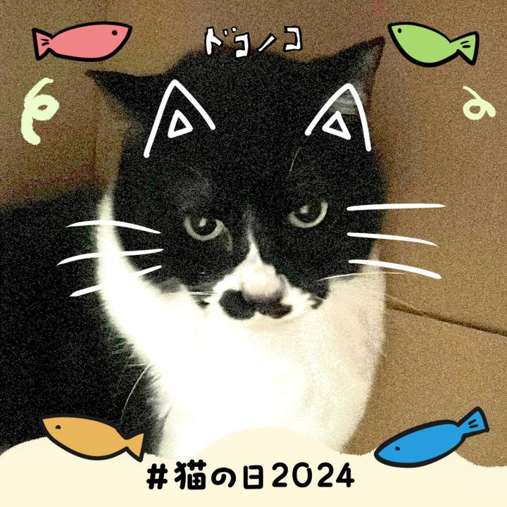 E1a9020d 424d 4b53 8f64 e4ef403e2d8f 1708556166879