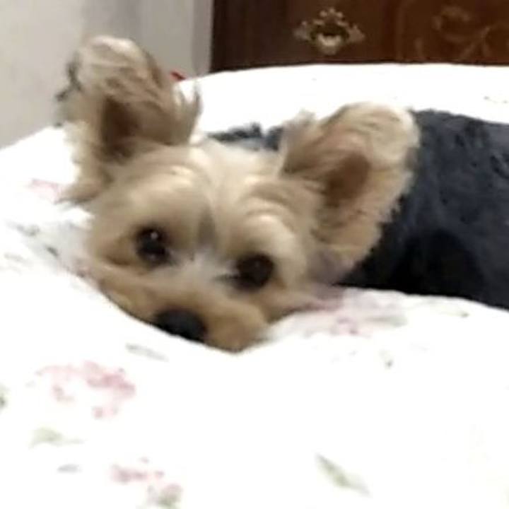 E1a91d7e 76bd 40fa ac56 d69579edbd6b 1560085163916