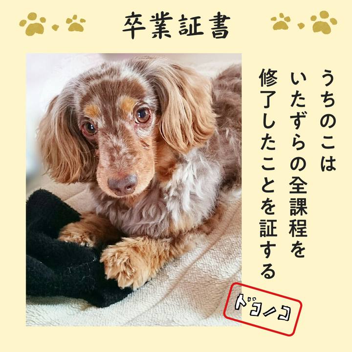 E1a94b98 0ad4 4c12 b591 f22ef34cbc5f 1771925107665