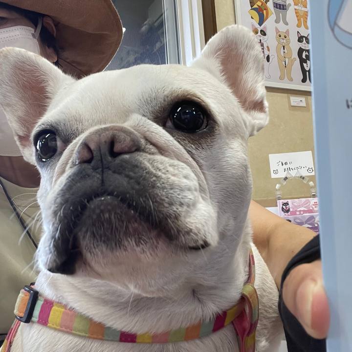 E1a98733 e9a6 4c80 a661 7aafba1e8ba1 1755213074871