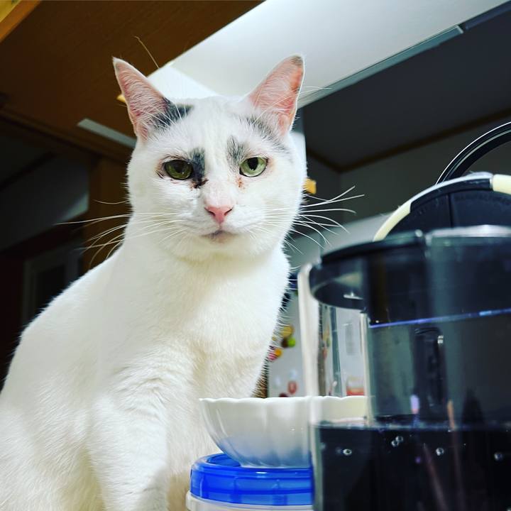 E1a99ea9 3888 4960 881d 54cefe526d5e 1635527732069