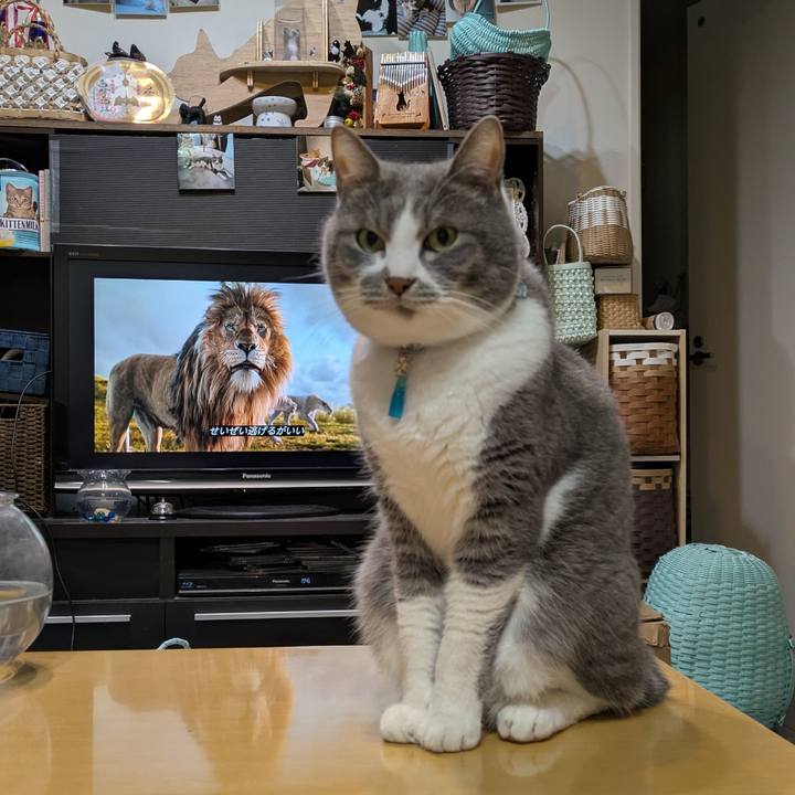 E1a9a28c 0270 4a61 85c3 1490fd84be27 1744368453974