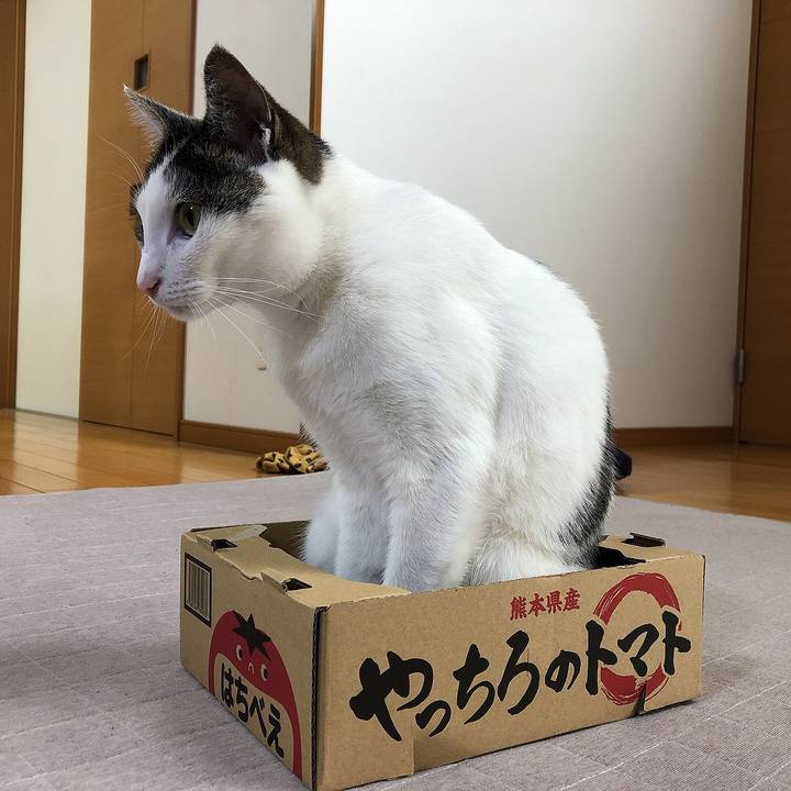 E1a9cfbd 372f 4b9e adfc 26ea1f7333f9 1652356476198