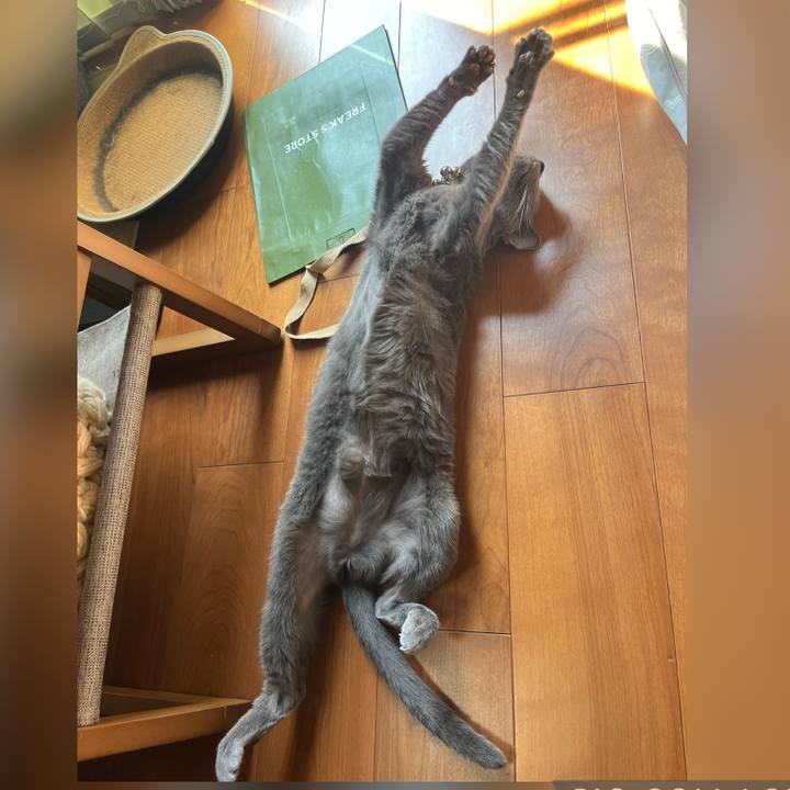 E1a9ddab d1a7 4f9d b07b b53d4e757bb7 1725582662461