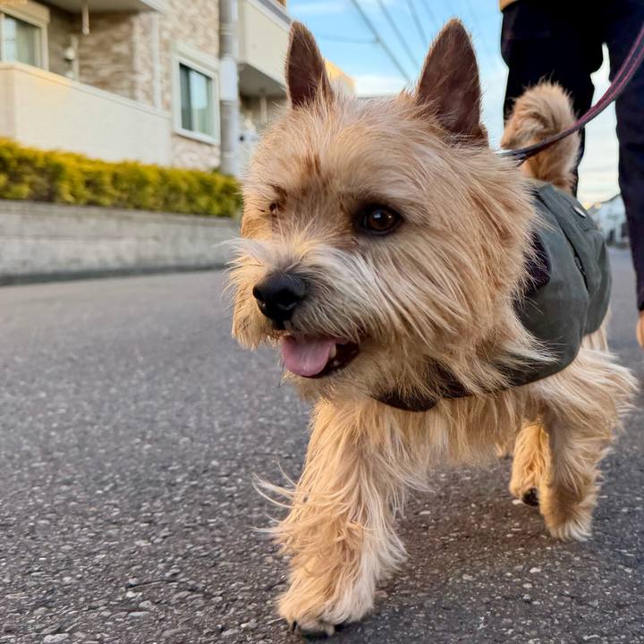 E1aa5bdd 8423 4c2f afa2 ebc7612e3bfb 1767175178480