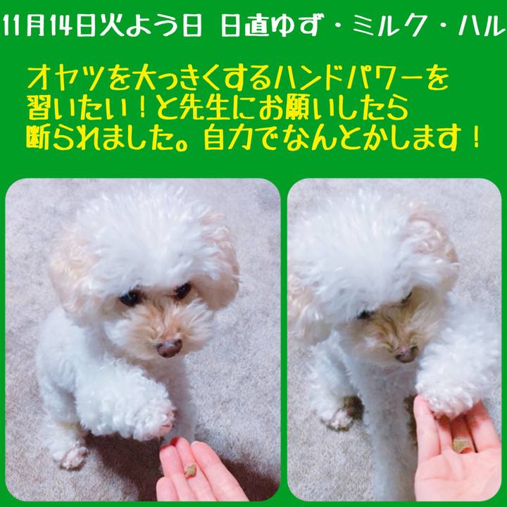 E1aa8556 3c5f 44b1 8ba6 c4d0aecf5751 1510630429839