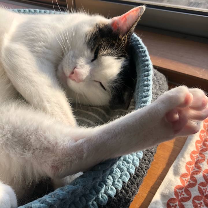 E1aa8f29 7ea9 47ee 8183 8d1122fa9a9a 1714258554436