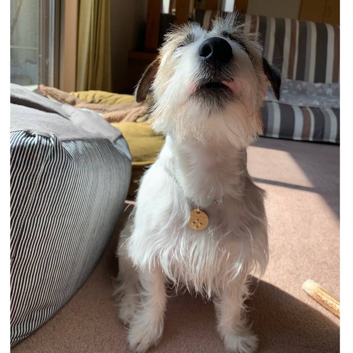 E1aaa5e7 cc58 43ab 871b 58fda39fb44e 1646123558277