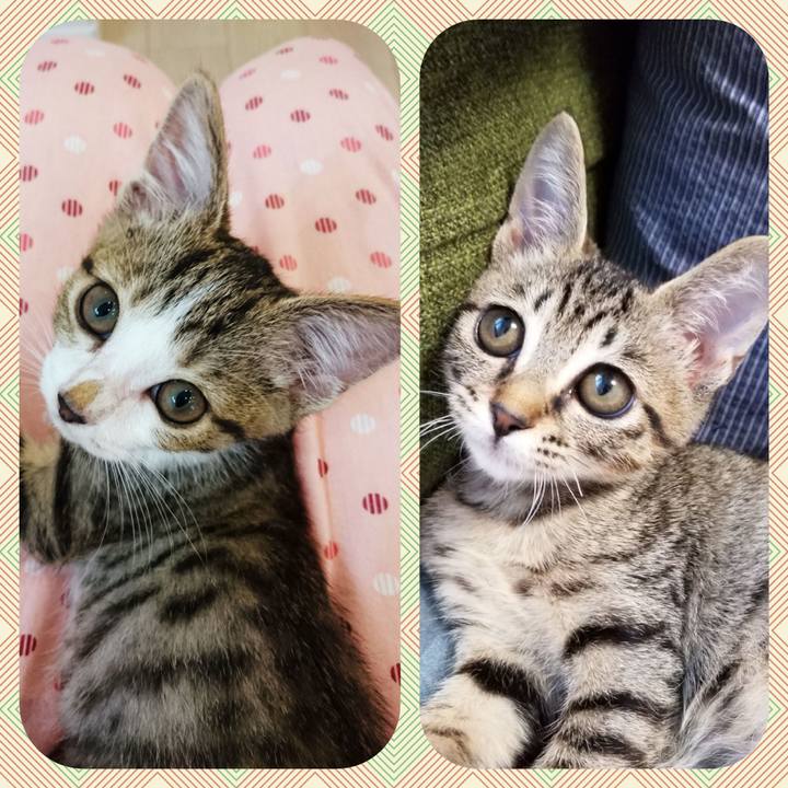 E1aad18a 2c3a 48c2 b435 3a183afe7138 1538746281984