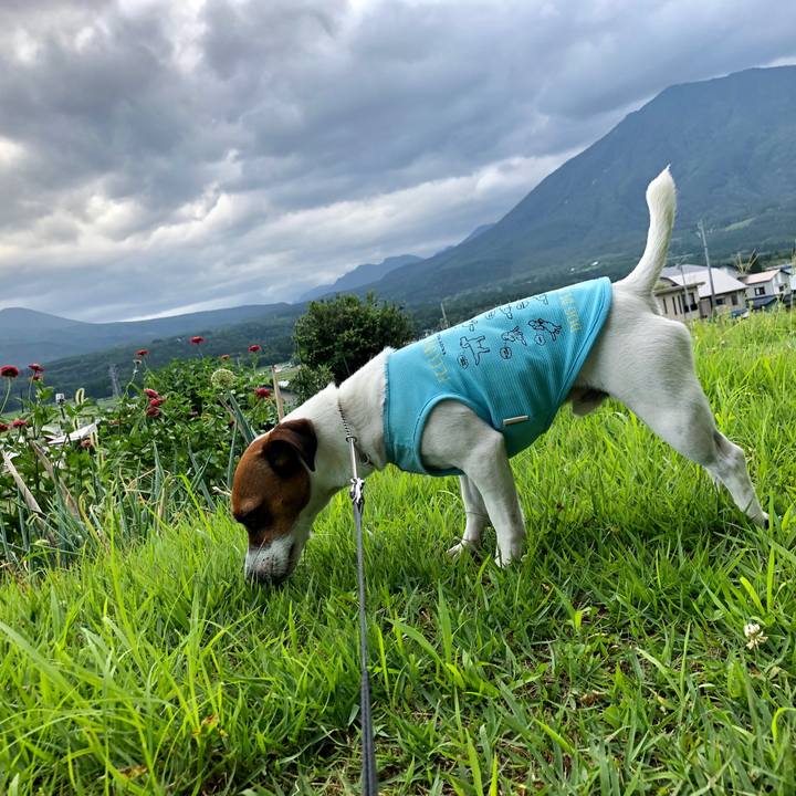 E1aaf434 c4df 4458 93b2 70371a6bb10a 1565867302380