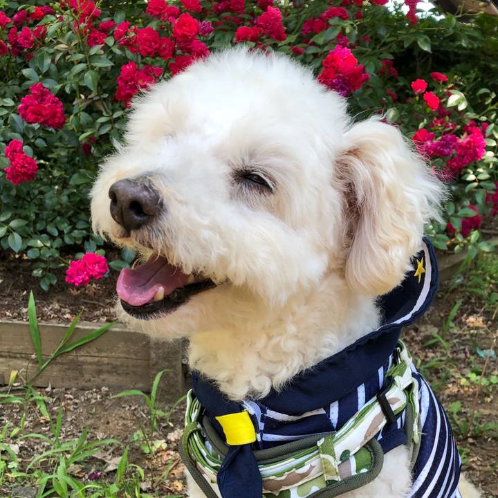 E1ab0a8b 4b84 4768 b175 1d400f90973d 1528175582971