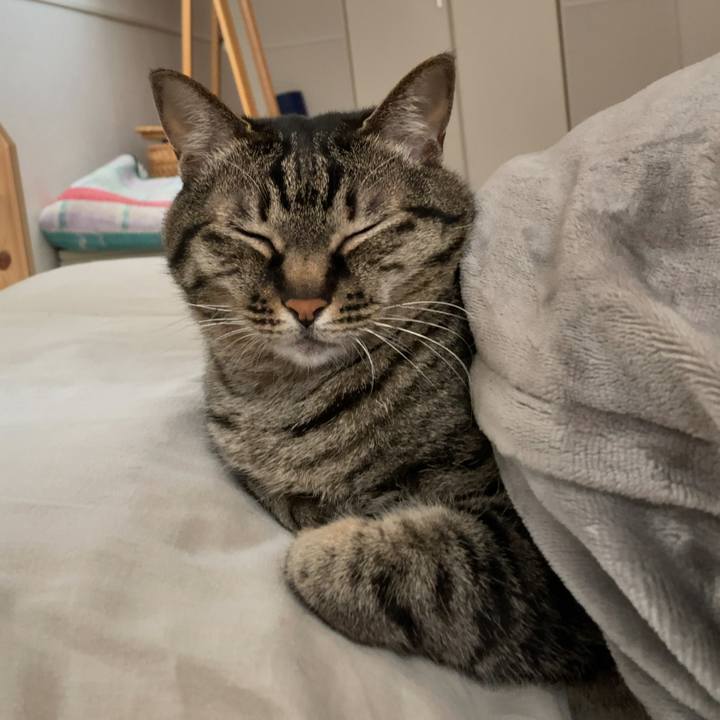 E1ab11f5 e128 4075 9c3d 1bf1f31ad60f 1622277469203