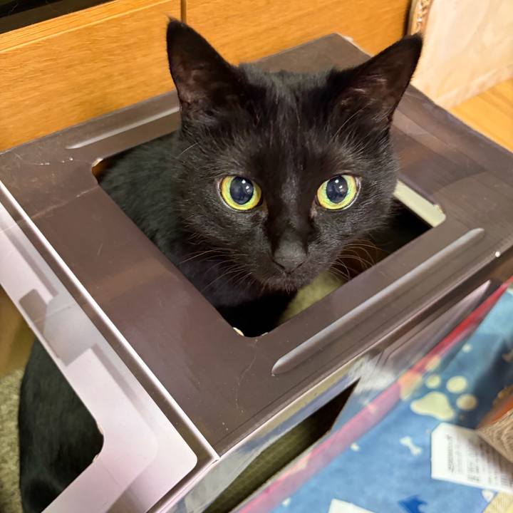 E1ab3512 e95b 46e3 b5e3 20cdf9b423a8 1770563753498