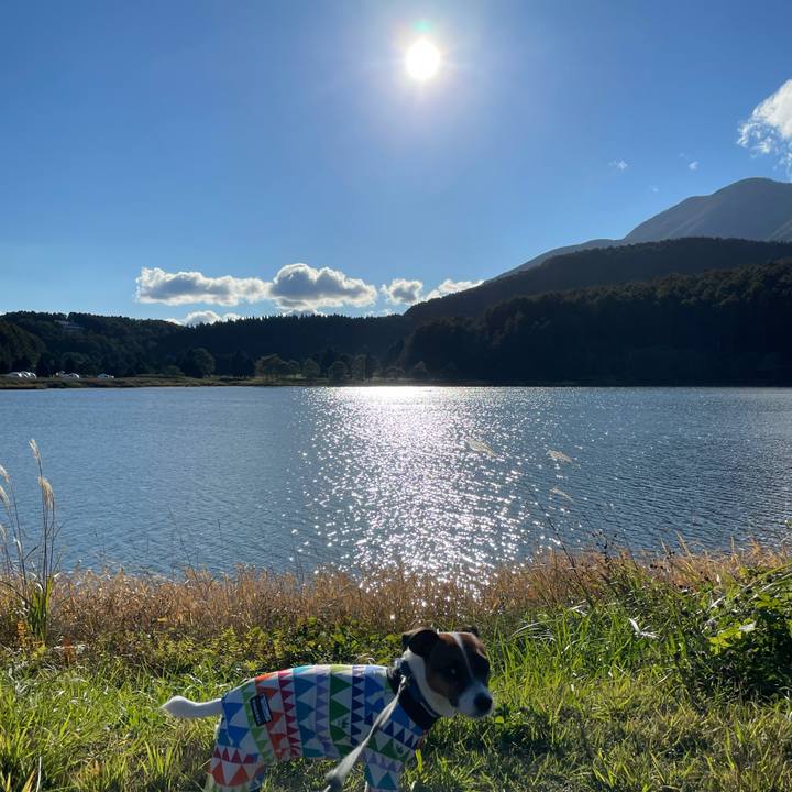 E1ab58cb 91e3 4c4a a87e 37b27547f40d 1634538464475