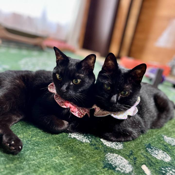 E1ab6e94 1a3e 44f0 82cb 92844e07d239 1749775302079