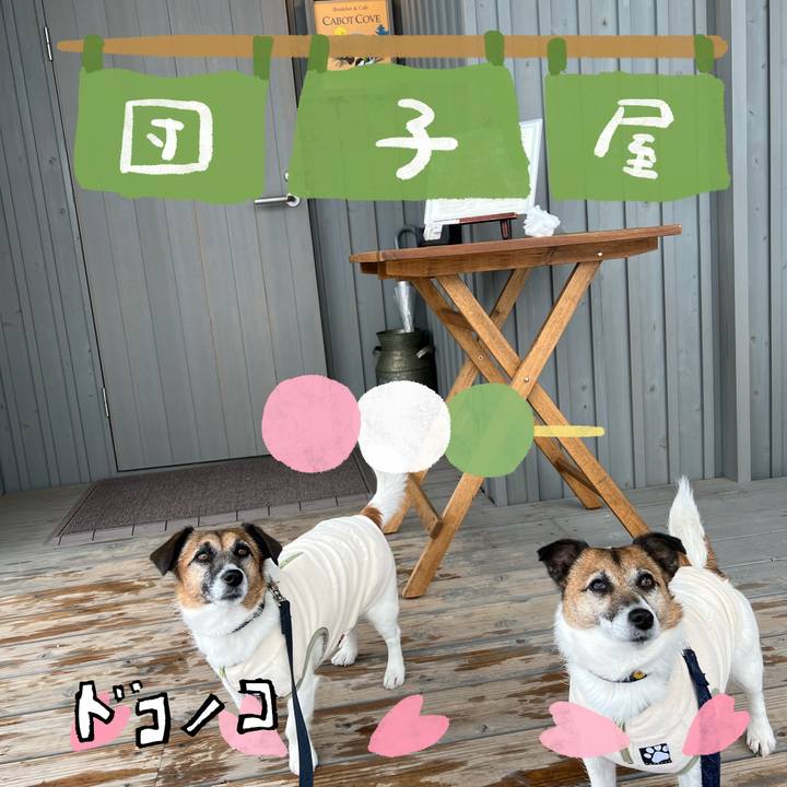 E1abcefa 3710 4ee5 99ff 30b9213b11b1 1712216536103