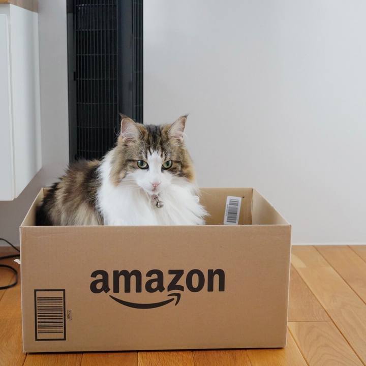 E1ac1c15 2345 4ea7 94f8 761bcedefb68 1659062967530