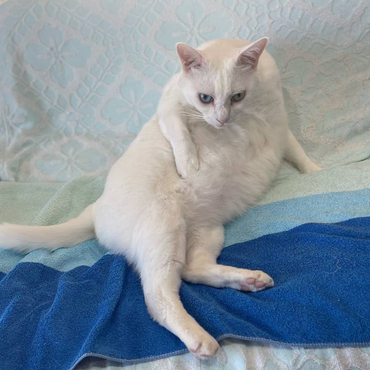 E1ac2bbe 58f1 488b 948b cada02791acd 1765847548459