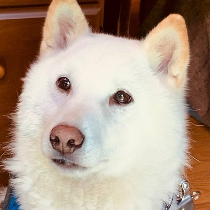 E1ac50d6 7798 48c3 b7d7 604dd0f9ef8f 1655585339728