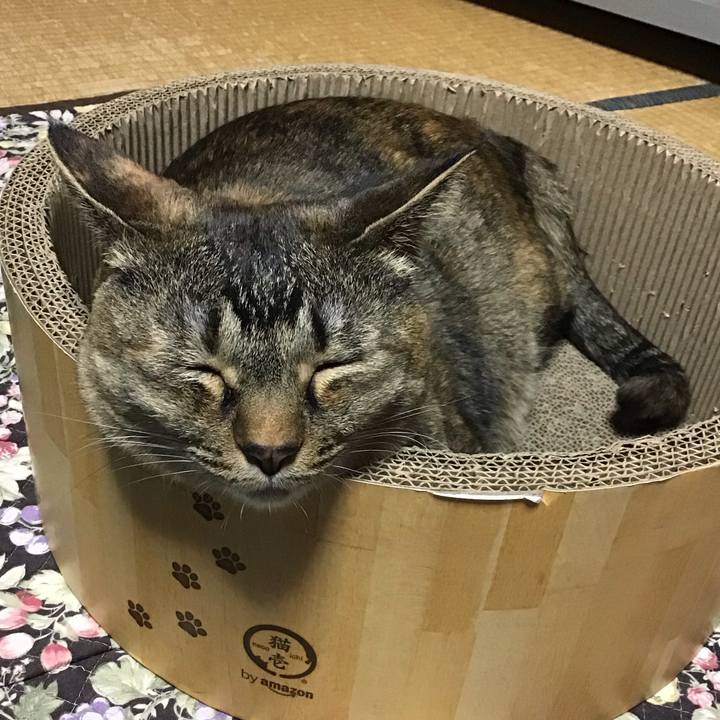 E1ac99e8 8bfe 405f b003 1fee5fb8f263 1746617428296